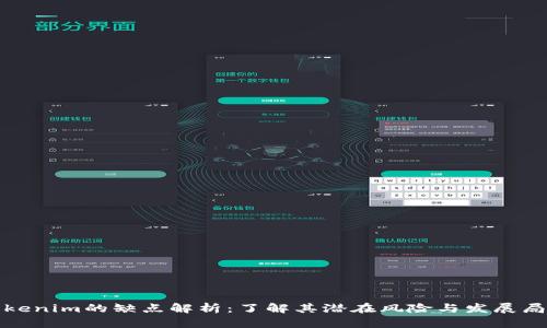 Tokenim的缺点解析：了解其潜在风险与发展局限