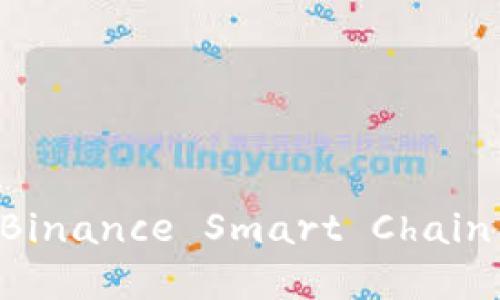 Tokenim 支持币安链：如何利用 Binance Smart Chain 实现更快的交易和低成本的支付