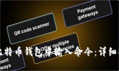 如何在比特币钱包中输入