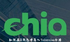 如何在Z钱包中导入Tokeni
