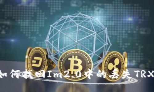 div
    如何找回Im2.0中的丢失TRX资产？