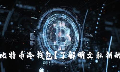 什么是比特币冷钱包？了解明文私钥的重要性