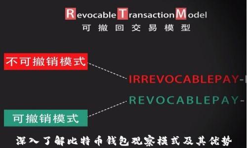 
深入了解比特币钱包观察模式及其优势