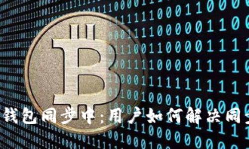 比特币钱包同步中：用户如何解决同步问题？