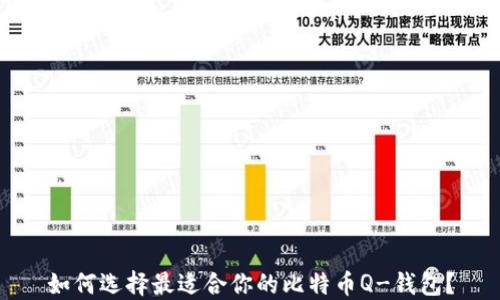 
如何选择最适合你的比特币Q-钱包？