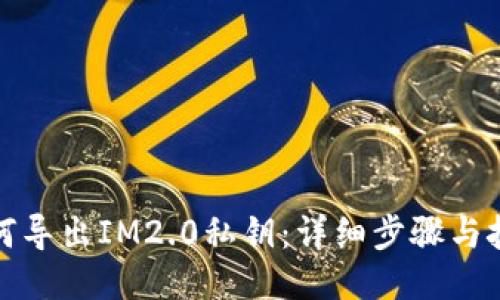 如何导出IM2.0私钥：详细步骤与技巧