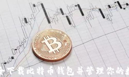
如何安全下载比特币钱包并管理你的数字资产
