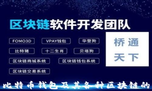 
探索比特币钱包及其各种区块链的奥秘