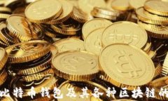 探索比特币钱包及其各种