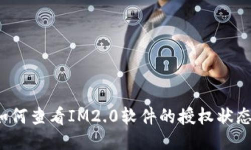 如何查看IM2.0软件的授权状态？