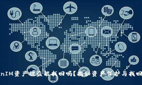 TokenIM资产被盗能找回吗？揭秘资产保护与找回策略