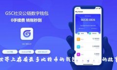 世界上存有最多比特币的