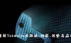 全面解析Tokenim大陆版：功
