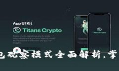 :比特币钱包观察模式全面