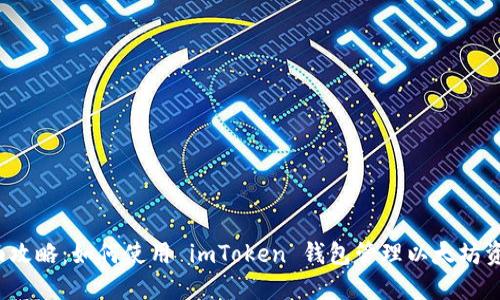 全面攻略：如何使用 imToken 钱包管理以太坊资产？