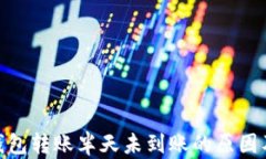 imToken钱包转账半天未到账
