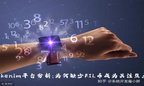 Tokenim平台分析：为何缺少FIL币成为关注焦点？