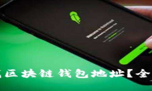如何查找区块链钱包地址？全方位指南