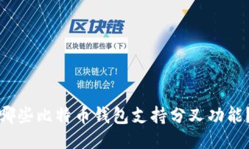 哪些比特币钱包支持分叉功能？