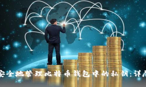 如何安全地管理比特币钱包中的私钥：详尽指南